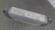Ladeluftkühler Ford Transit F..y (02/00 - 12/05 ) F..6 (05/06 - ) 2C119L440BB