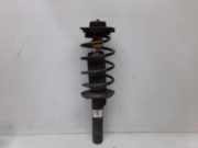 Federbein vorne rechts (Marderabwehrsystem Climatic Radio RCD 310)