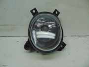 Nebelscheinwerfer rechts 8E0941700C (Ausstattung Seide Nappaleder Holzdekor Birkemaser Sportsitze Recaro)