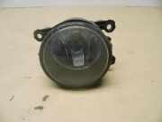 Nebelscheinwerfer links / rechts Renault Scenic 2 (Typ:JM) FAP Avantage