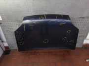 Motorhaube (Hekklappe verglast Klimaanlage Frontscheibe heizbar )