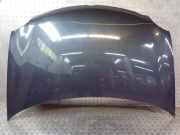 Motorhaube VW Polo IV (Typ:9N) Polo