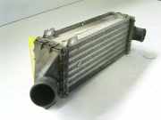 Ladeluftkühler (T-Diesel 1,7 (1686ccm) 60KW 4TCEE 4TCEE)