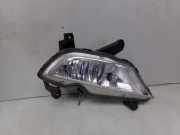 Nebelscheinwerfer rechts (Nebelscheinwerfer Heckscheibenwischer Türaussengriff lackiert)