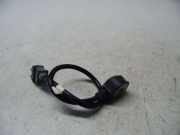 Klopfsensor (1,0(995ccm) 49kW)