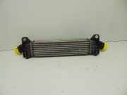 Ladeluftkühler 2,0D 1S7Q-9L440 (2,0 Diesel(1998ccm) 96KW FMBA Dura Torq-TDCI FMBA Scheiben abgedunkelt Kühlerrgrill)