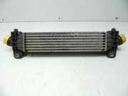 Ladeluftkühler 2,0 TDCi 1S70-9L440-AF (2,0 Diesel(1998ccm) 96KW FMBA Dura Torq-TDCI FMBA)