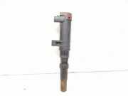 Zündspule 1,6 (1,6(1598ccm) 79kW K4M708/9 Getriebe 5-Gang)