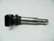 Zündspule 1,4 036905715F (1,4(1390ccm) 55KW BCA BCA)