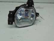 Nebelscheinwerfer rechts Kia Rio (Typ:DC) LS