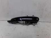 Türgriff hinten links aussen (Marderabwehrsystem Climatic Radio RCD 310)