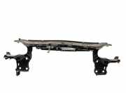 Frontmaske Frontblech RENAULT MEGANE II COUPÉ-CABRIOLET (EM0/1) 1.6 83 KW 8200137496