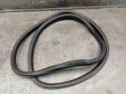 Dichtung Türrahmen Einstieg rechts hinten SEAT LEON (5F1) 1.4 TSI 110 KW 5F48673679B9