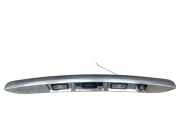 Kennzeichenleuchte Blende Taster Heckklappe RENAULT SCENIC III (JZ0/1) 1.2 TCE 85 KW 848109523R