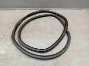 Dichtung Türrahmen Einstieg rechts hinten OPEL MOKKA (J13) 1.4 103 KW