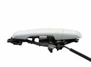 Türgriff Türaussengriff vorne links Fuji White LAND ROVER RANGE ROVER EVOQUE (L538) 2.0 D 4X4 RHD 132 KW EJ32-203A29-GC