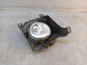 Nebelscheinwerfer links PORSCHE CAYENNE (9PA) 3.6 213 KW 7L5941699D 89210011