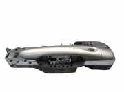 Türgriff Türaussengriff vorne rechts Braun TEHNP RENAULT SCENIC III (JZ0/1) 1.2 TCE 85 KW 806060041R