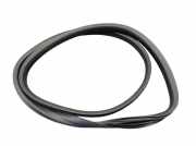 Dichtung Türrahmen Einstieg links hinten RENAULT TWINGO III (BCM) 0.9 TCE 90 66 KW