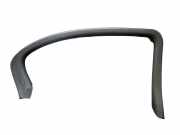 Abdeckung Tür Hinten Links JAGUAR X-TYPE (CF1) 2.0 V6 115 KW 1X43-5425561