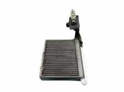 Klimaverdampfer FORD GRAND C-MAX (DXA/CB7, DXA/CEU) 1.6 ECOBO 110 KW AV6N-19849-AB