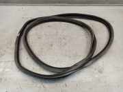 Dichtung Türrahmen Einstieg links hinten AUDI A6 (4F2, C6) 3.0 TDI QUATTRO 176 KW 4F5833721E