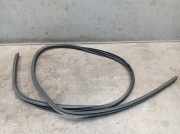 Dichtung Türrahmen Einstieg links hinten FORD C-MAX II (DXA/CB7, DXA/CEU) 1.0 ECOBOOST 74 KW