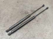 Gasfeder, Motorhaube Set 2-teilig RENAULT MEGANE IV GRANDTOUR (K9A/M) 1.2 TCE 100 74 KW 654700462R