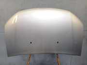 Motorhaube Haube Grau (TED69) DACIA SANDERO II STEPWAY TCE 90 66 KW