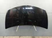 Motorhaube Haube Pearlescent Black NV676 RENAULT CLIO III (BR0/1, CR0/1) 1.2 16V 55 KW