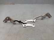 Motorhaubenscharnier Set rechts und links RENAULT CLIO III (BR0/1, CR0/1) 1.2 16V 55 KW