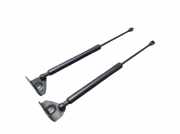 Heckklappendämpfer Set 2-teilig DS DS3 1.2 VTI 82 60 KW 9809821380