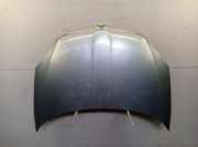 Motorhaube Haube Satin Grau LF5X SKODA FABIA II (542) 1.2 44 KW 5J0823155