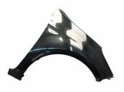 Kotflügel rechts Black Diamond (FR) HYUNDAI I20 (PB, PBT) 1.2 57 KW