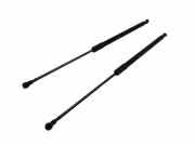 Heckklappendämpfer Set links und rechts RENAULT MEGANE IV GRANDTOUR (K9A/M) 1.5 DCI 110 81 KW 904506697R 904515874R