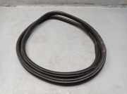 Dichtung Türrahmen Einstieg vorne links BMW 1 (F20) 116D 85 KW 7240849