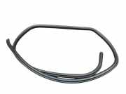 Dichtung Türrahmen Einstieg links hinten BMW X1 (E84) SDRIVE18D 105 KW 2990833