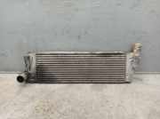 Ladeluftkühler RENAULT MEGANE II (BM0/1, CM0/1) 1.9 DCI 88 KW