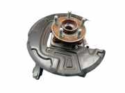 Achsschenkel Radnabe links hinten FORD S-MAX (CJ, WA6) 2.0 ECOBLUE 140 KW E1GC-5B759-AE