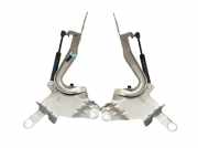 Motorhaubenscharnier Set 2-teilig RENAULT SCENIC III (JZ0/1) 1.2 TCE 85 KW 654000004R