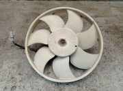 Elektromotor, Kühlerlüfter CITROEN C1 (PM, PN) 1.0 50 KW 9140272