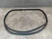 Dichtung Türrahmen Einstieg links hinten SUZUKI SWIFT V (AZ) 1.2 66 KW