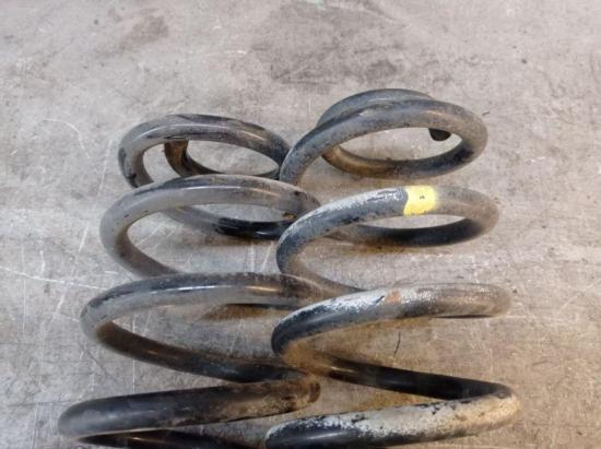 Federnsatz Hinterachse BMW 5 TOURING (E39) 520I 110 KW Bild Federnsatz Hinterachse BMW 5 TOURING (E39) 520I 110 KW