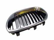 Kühlergrill Grill Frontgrill Niere links BMW 5 (E60) 520I 125 KW 7027061