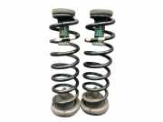 Federnsatz Hinterachse RENAULT MEGANE II COUPÉ-CABRIOLET (EM0/1) 1.6 83 KW