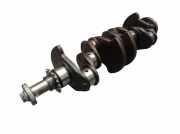 Kurbelwelle K4M 804 RENAULT CLIO III (BR0/1, CR0/1) 1.6 16V 65 KW