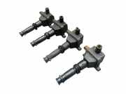 Zündspule Set Stück ALFA ROMEO 156 SPORTWAGON (932) 2.0 16V T.SPARK 110 KW 0356100107