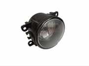 Nebelscheinwerfer rechts RENAULT MEGANE II CABRIO (EM0/1) 82 KW 8200074008