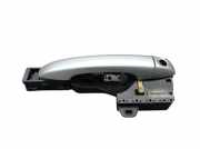 Türgriff Türaussengriff vorne links Platingrau TED69 RENAULT MEGANE IV GRANDTOUR (K9A/M) 1.5 DCI 110 81 KW 806079597R