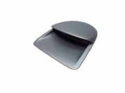 Display Bildschirm Bordcomputer RENAULT CLIO III 3 BR0/1, CR0/1 1.2 16V 55 KW 8200307273